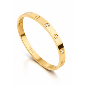 Verita Minimalist Screw & Crystal Bangle